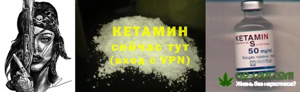 амф Пестово