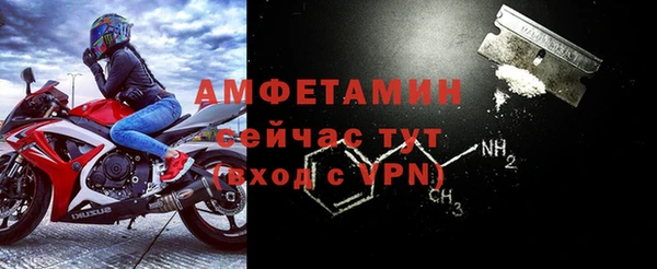 амф Пестово