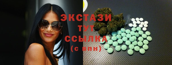амф Пестово