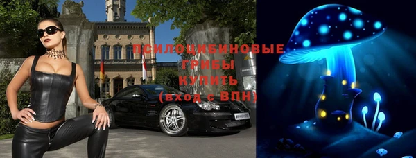 амф Пестово