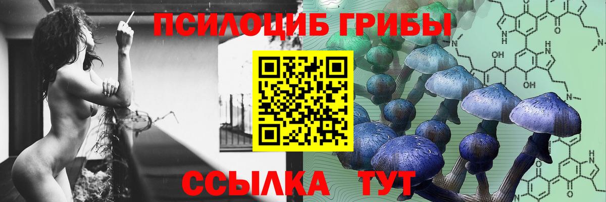 Псилоцибиновые грибы мицелий  Вход с VPN  Псилоцибиновые грибы Cubensis  Шумерля 